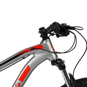 Mountain Bike RAZZ Aluminio Gris Microshift 24VEL 29ER
