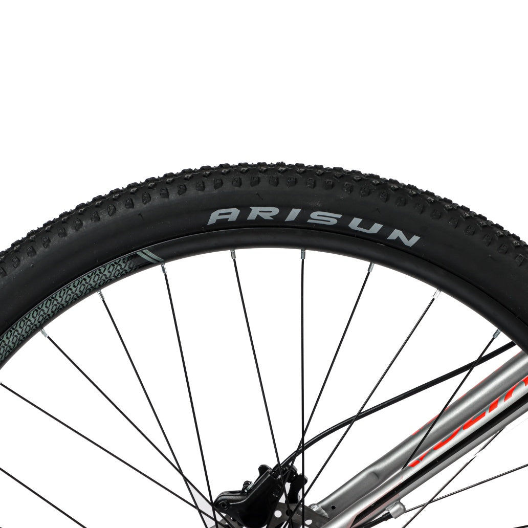 Mountain Bike RAZZ Aluminio Gris Microshift 24VEL 29ER