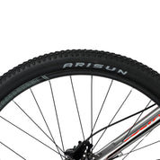 Mountain Bike RAZZ Aluminio Gris Microshift 24VEL 29ER