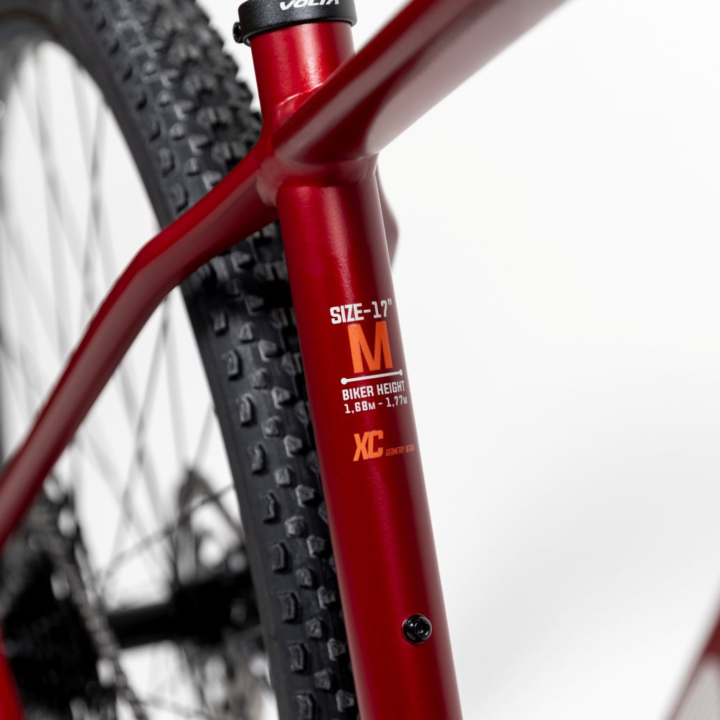 MTB Viggo Expert CUES - GEN3