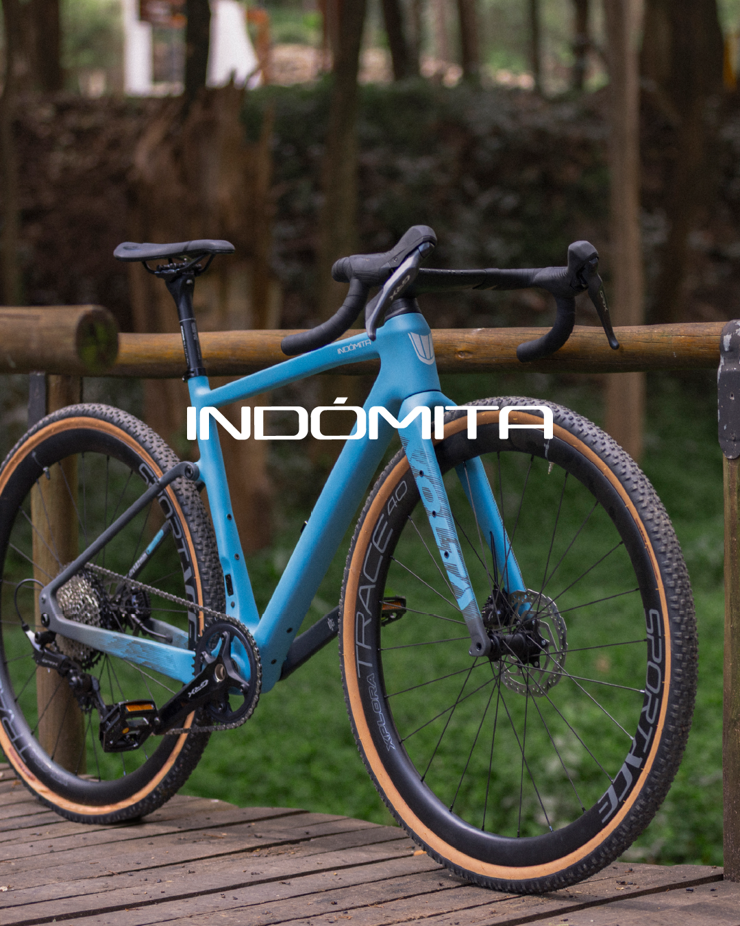 Volta_Indomita_copia_2_68265ba8-a134-43ca-82e1-52cf6711b66a.png
