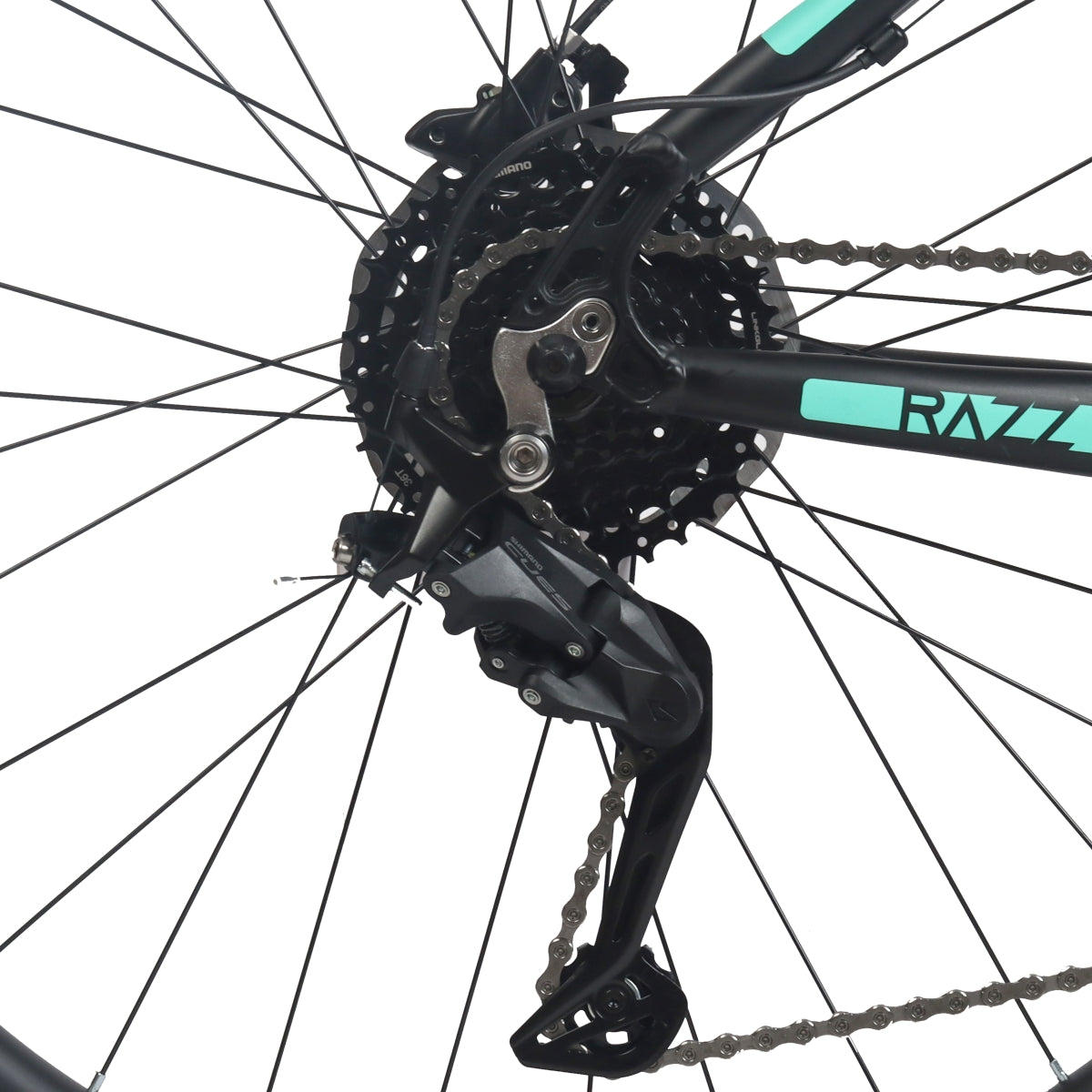 MTB Razz Shimano Cues